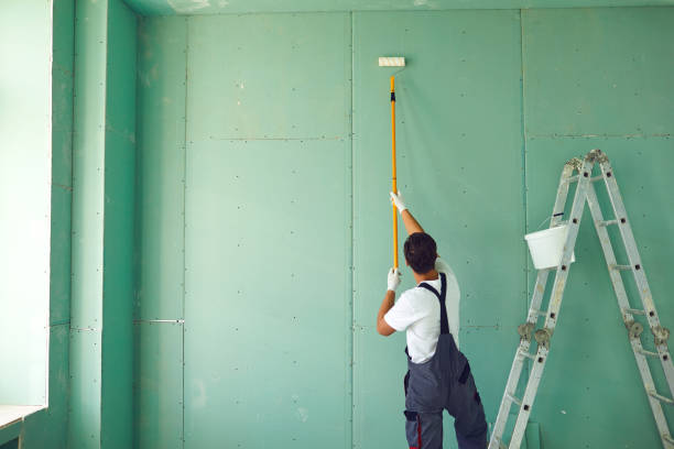 Mold Documentation for Insurance Claims in North Fond Du Lac, WI