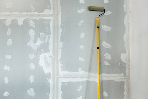 Best Biohazard Mold Removal  in North Fond Du Lac, WI